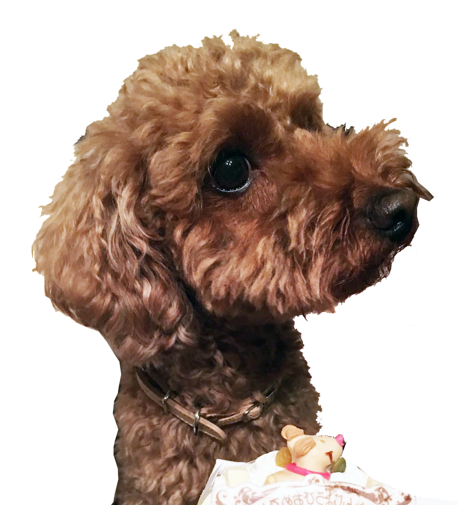 テストテストテストテストテストテストテストテスト